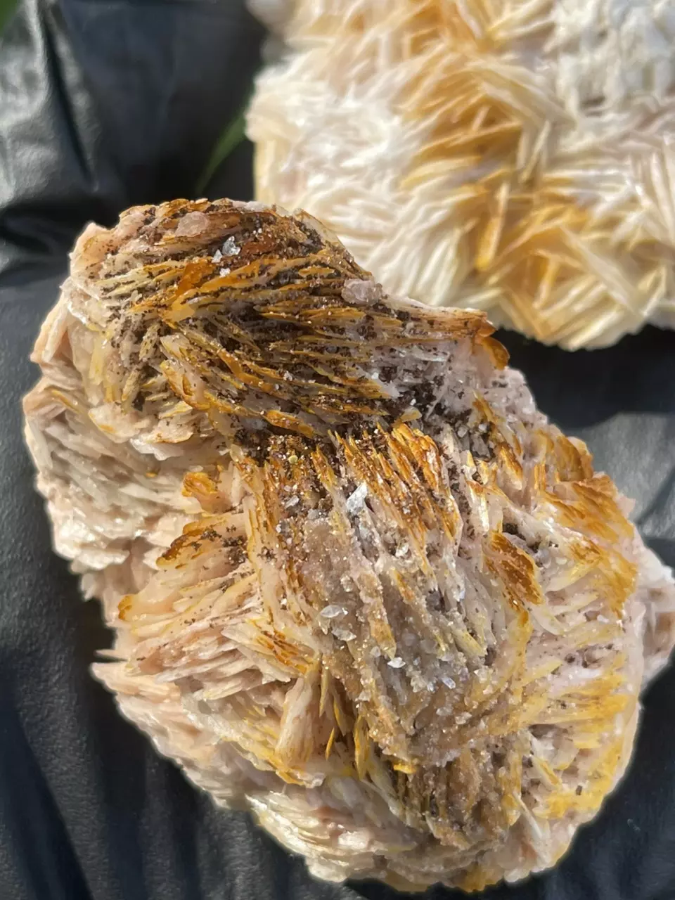 plant/Morocco Barite and galena-0