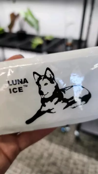 plant/Cold Pack-0-thumbnail