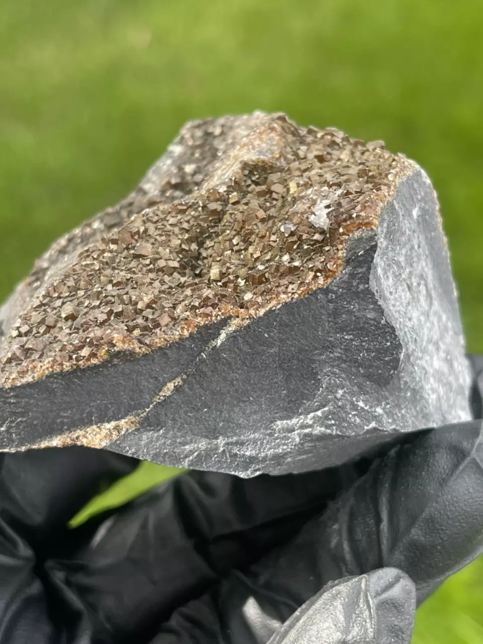 plant/Iridescent Calcite from Oskaloosa, Iowa-1