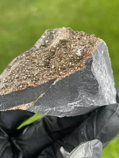 plant/Iridescent Calcite from Oskaloosa, Iowa-1-thumbnail