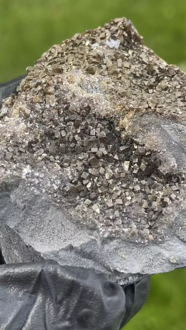 plant/Iridescent Calcite from Oskaloosa, Iowa-4