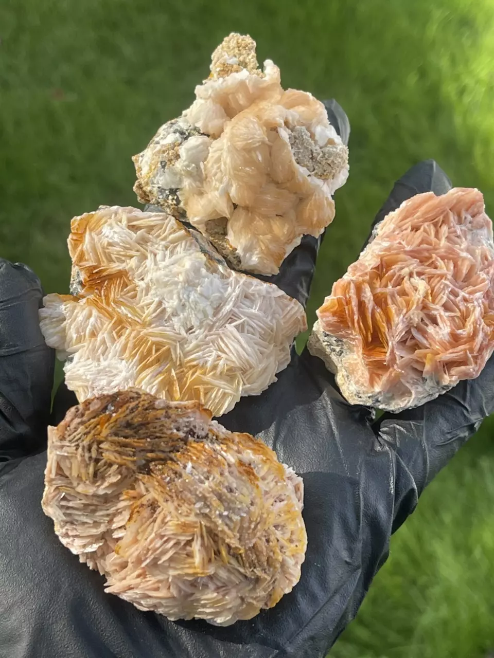 plant/Morocco Barite and galena-1