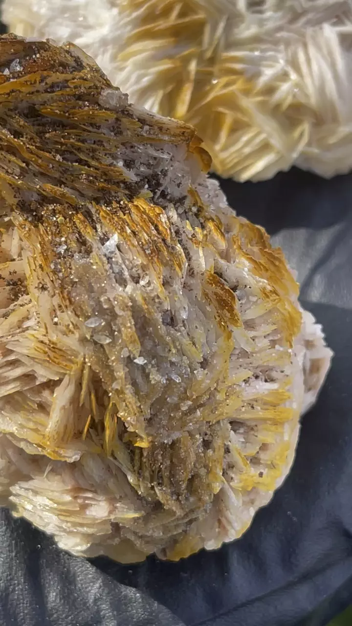 plant/Morocco Barite and galena-4