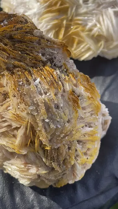 plant/Morocco Barite and galena-4-thumbnail