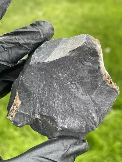 plant/Iridescent Calcite from Oskaloosa, Iowa-3-thumbnail