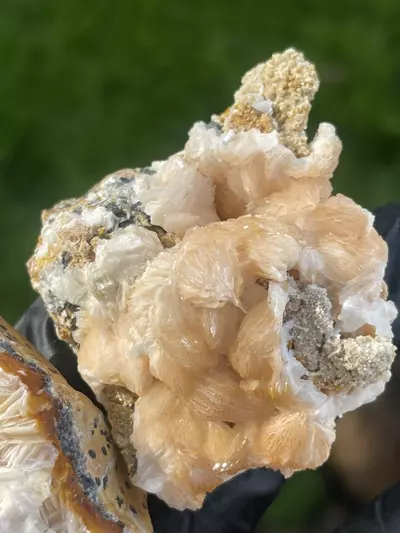 plant/Morocco Barite and galena-2-thumbnail