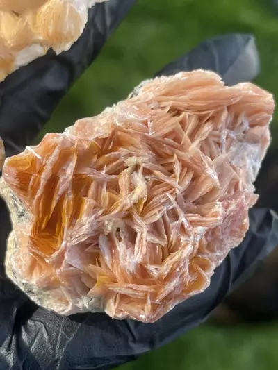plant/Morocco Barite and galena-3-thumbnail