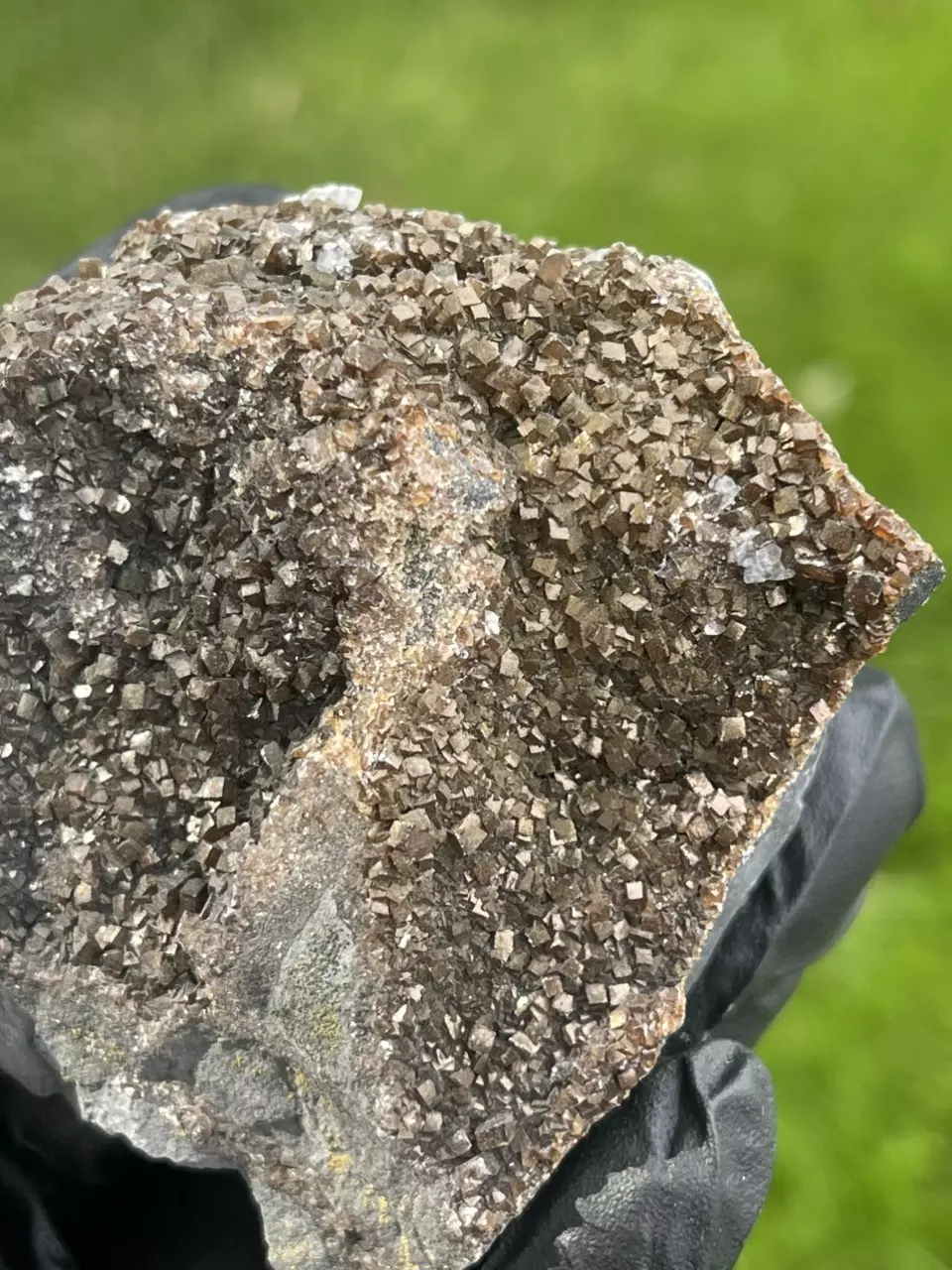 plant/Iridescent Calcite from Oskaloosa, Iowa-0