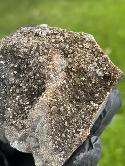 plant/Iridescent Calcite from Oskaloosa, Iowa-0-thumbnail