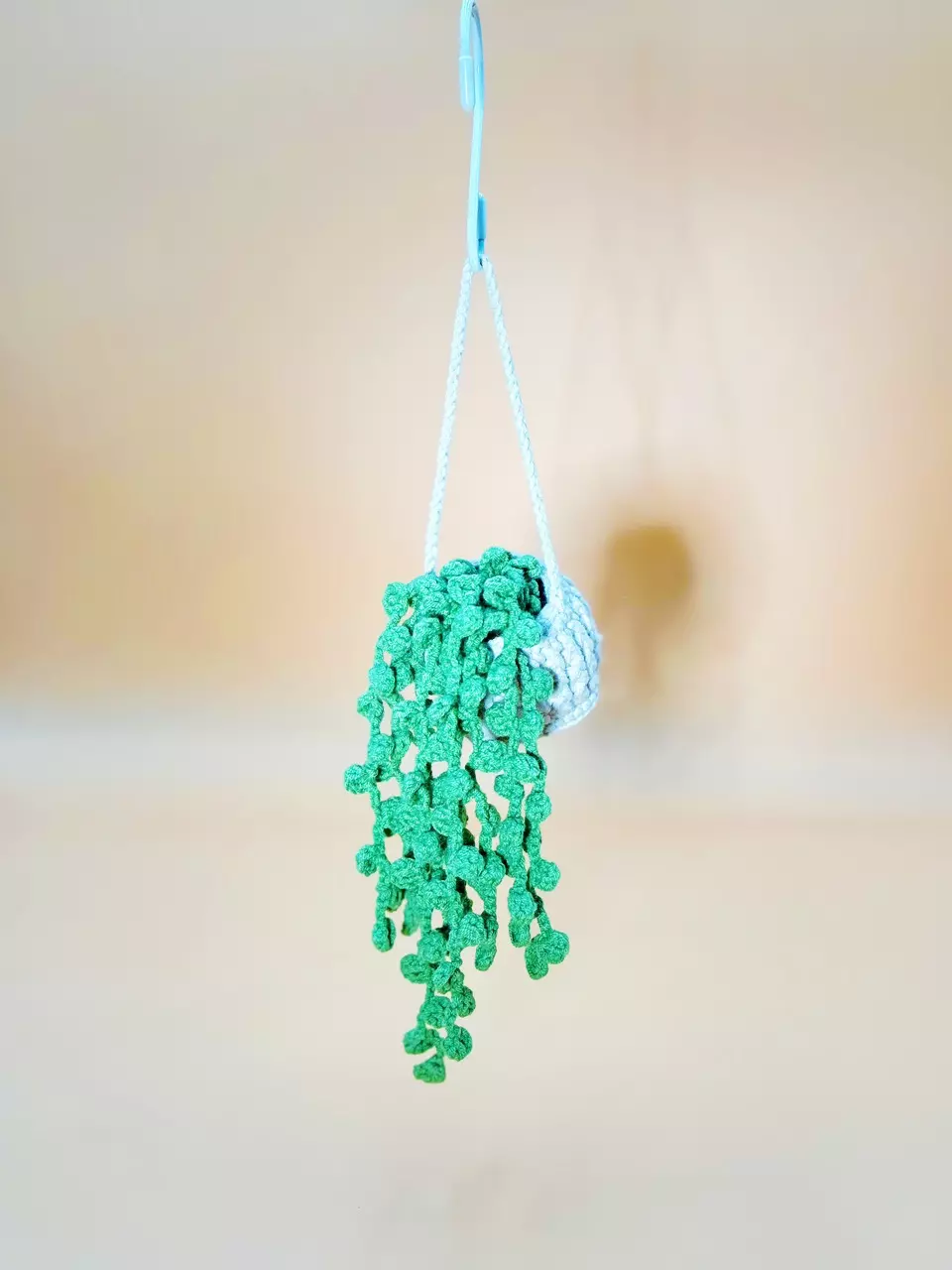 plant/String of Pearl Hanger-0