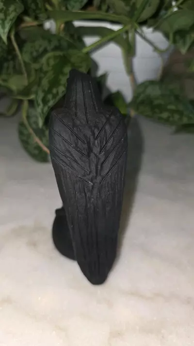 plant/Black Obsidian Raven Crow-2-thumbnail