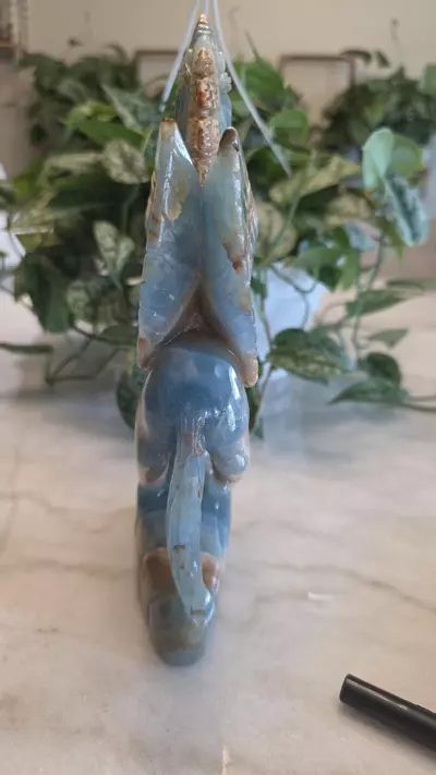 plant/Blue onyx unicorn 🦄 hand carved-4-thumbnail