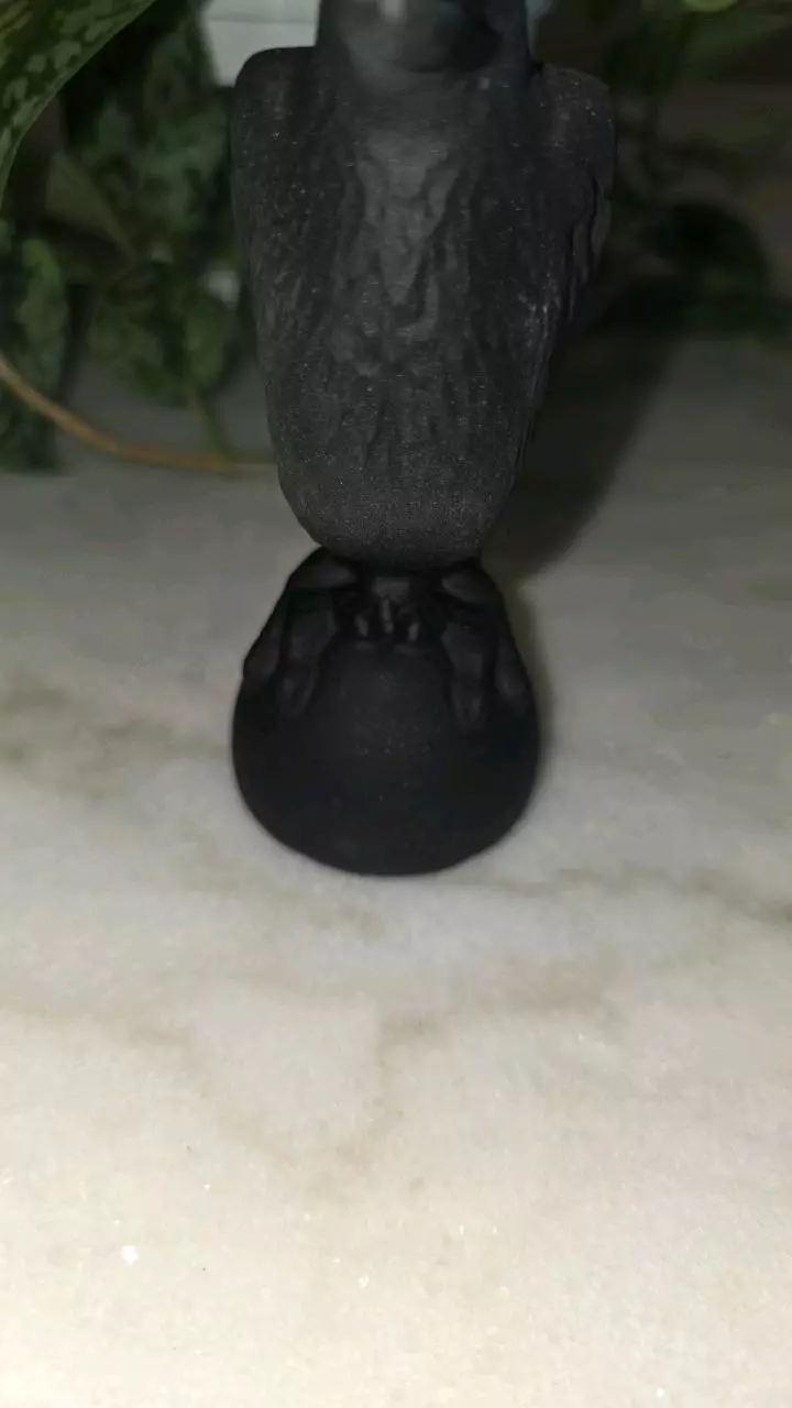 plant/Black Obsidian Raven Crow-3