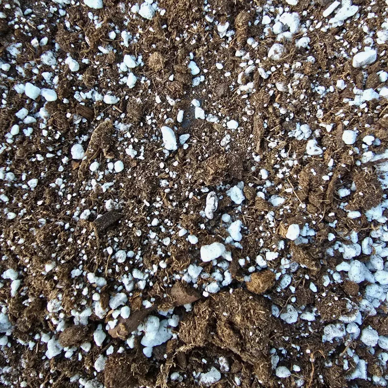 plant/Bog Carnivorous Plant Soil ( 1 quart / 4 cups)-0