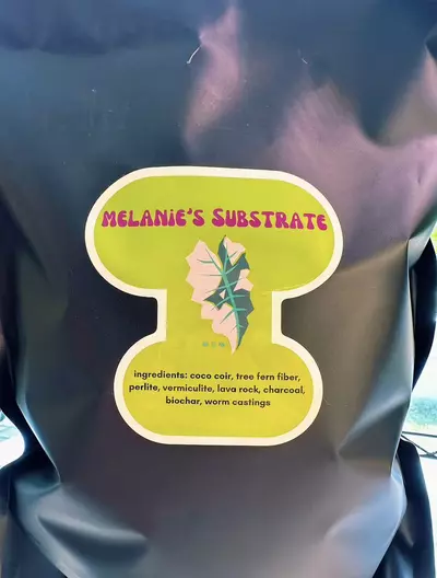 plant/1 gallon (4oz) bag of soilless substrate-1-thumbnail