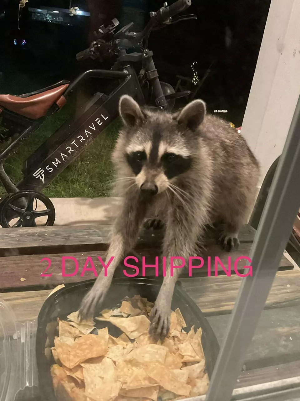 plant/2 DAY SHIPPING! $25 additional  *ESTIMATE ONLY until state, weight, size entered-0