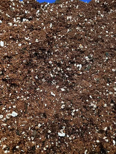 plant/1 gallon (4oz) bag of soilless substrate-2-thumbnail