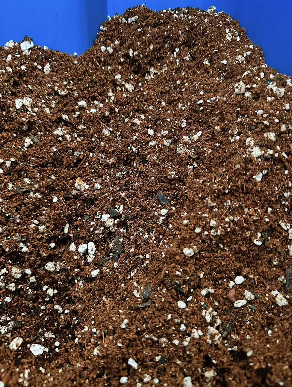 plant/1 gallon (4oz) bag of soilless substrate-3