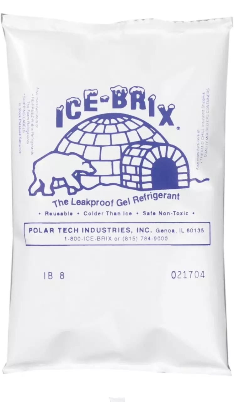 free_shipping/Ice pack for shipping-0
