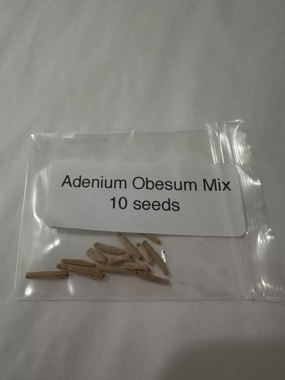 plant/Adenium Obesum Hybrid Mix-0