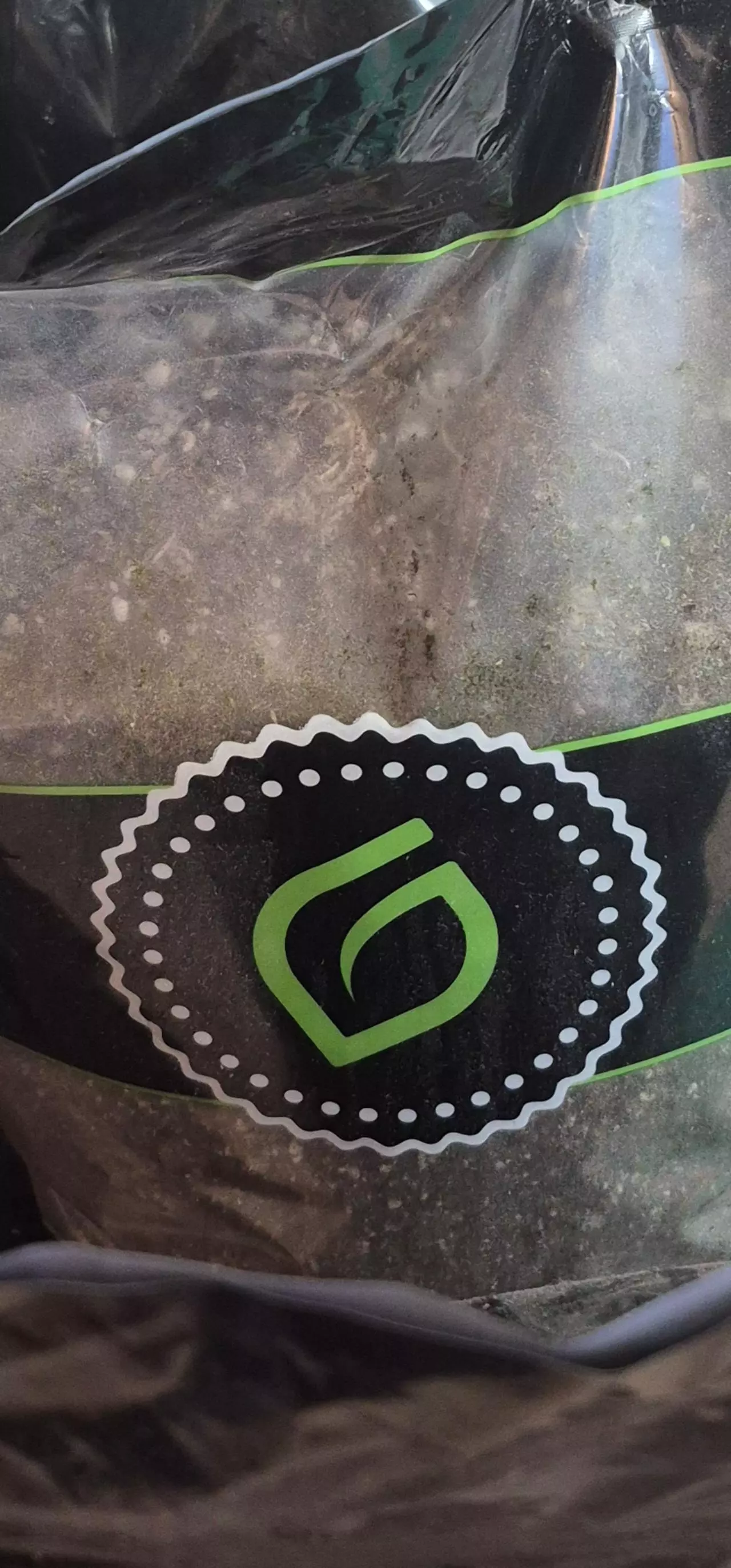 plant/MR. PHOTOSYNTHESIS Funky Chunky Aroid Mix-1