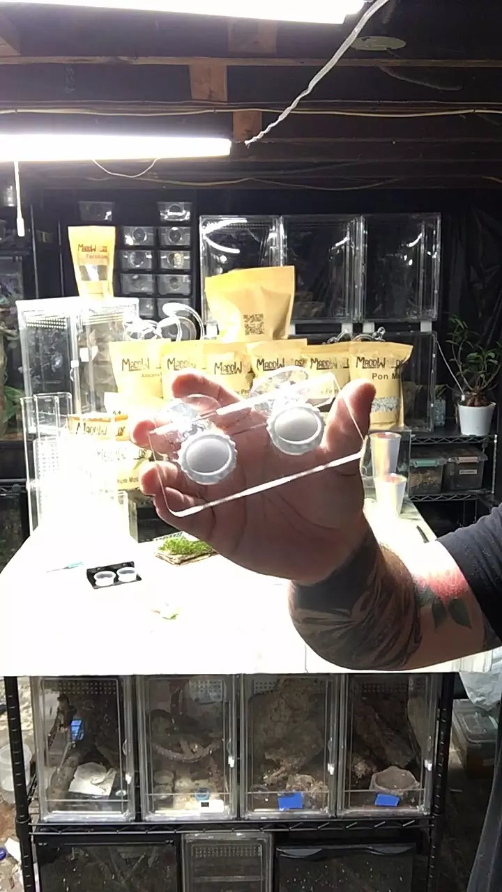 plant/Suction Cup Silicone feeder Ledge-0