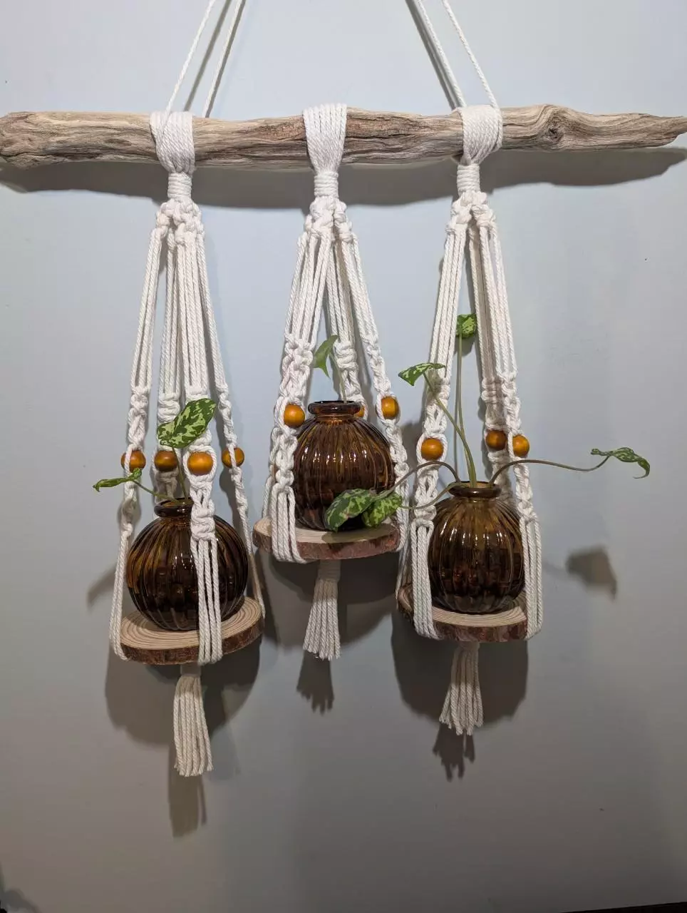 plant/#427 3-Holder Propagation Station Style #3 CUSTOM ORDER-3