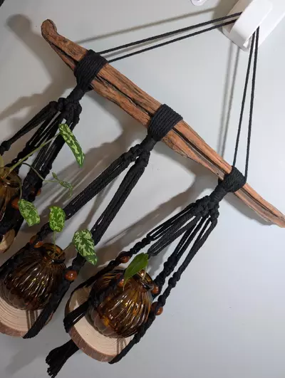 plant/#427 3-Holder Propagation Station Style #3 CUSTOM ORDER-1-thumbnail