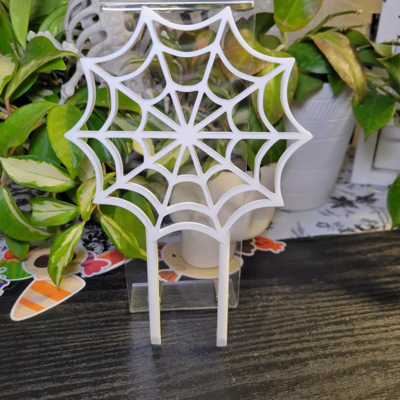 plant/Spider web trellis-0