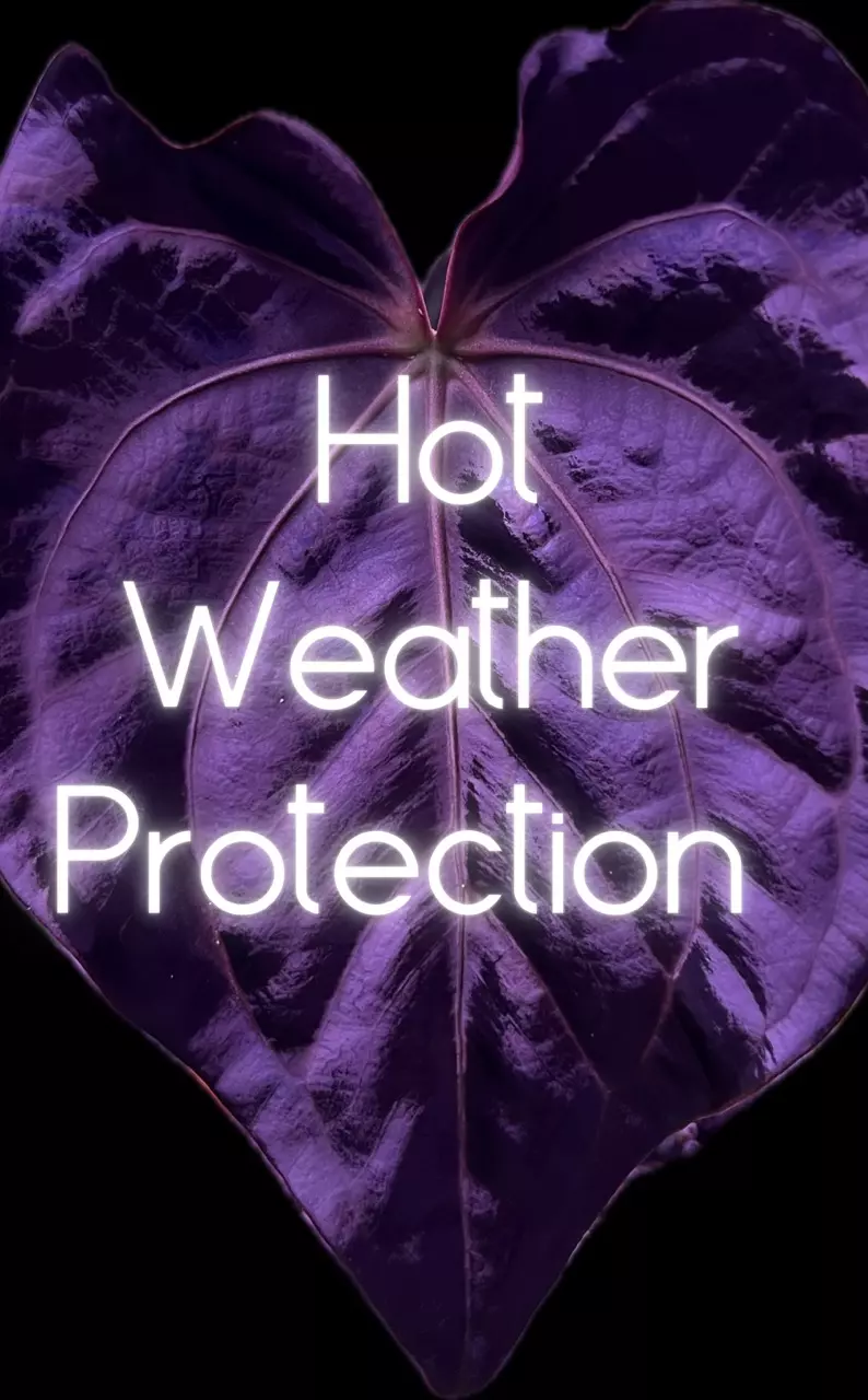 insulation/Hot Weather Protection-0