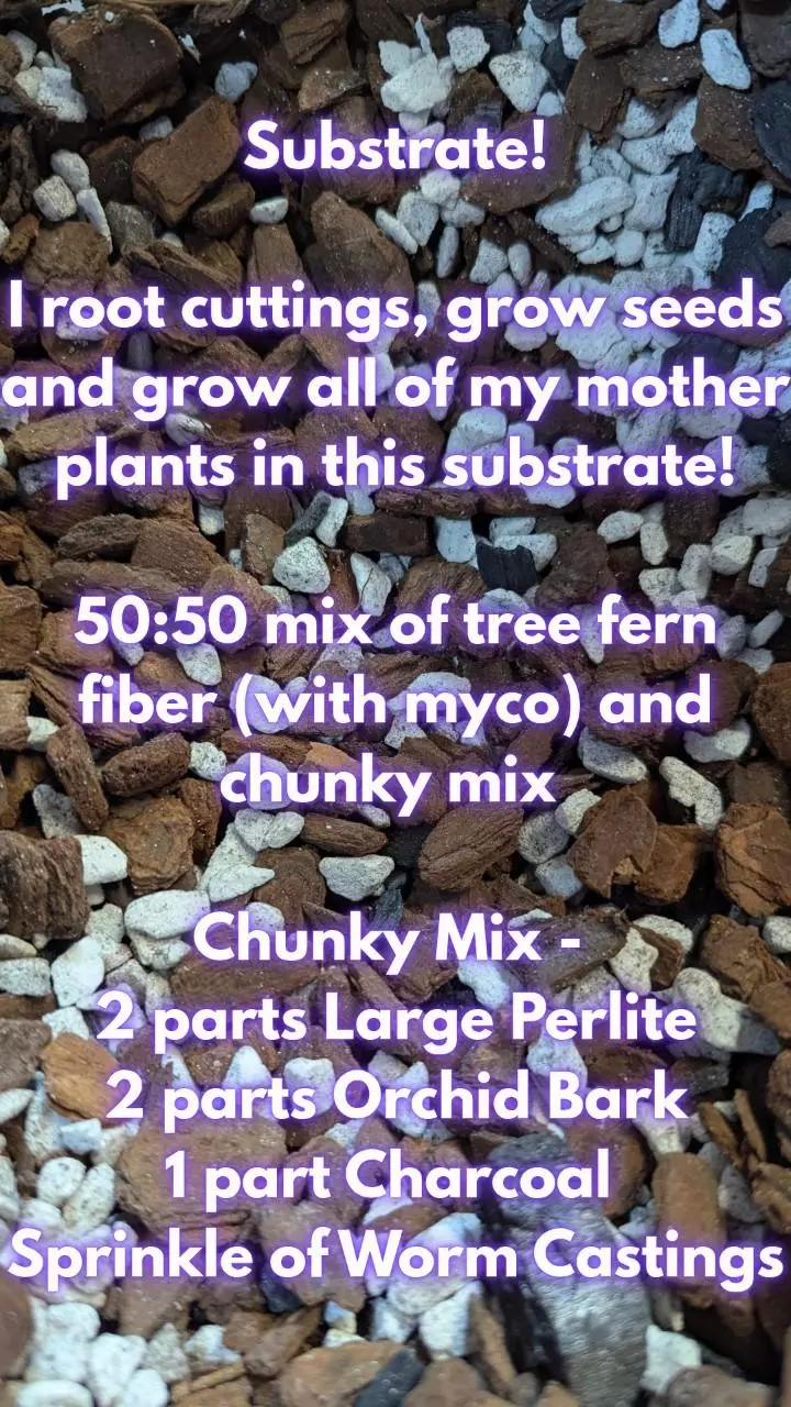 plant/My substrate! *not available for purchase at this time*-0