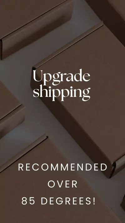 plant/Shipping upgrade 2 day-0-thumbnail