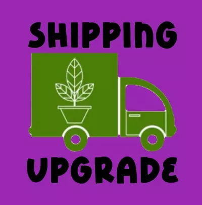 plant/Shipping upgrade-0-thumbnail