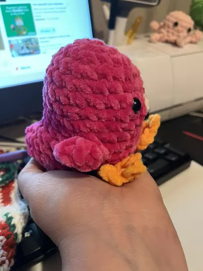 plant/Flamingo-1-thumbnail