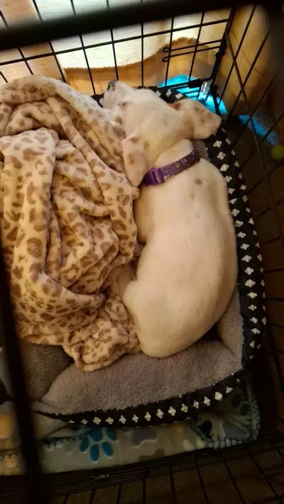 plant/All my jewelry-0-thumbnail