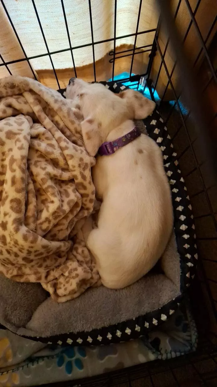 plant/All my jewelry-1