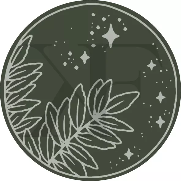 plant/Plant Coaster-0