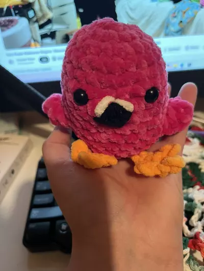 plant/Flamingo-0-thumbnail