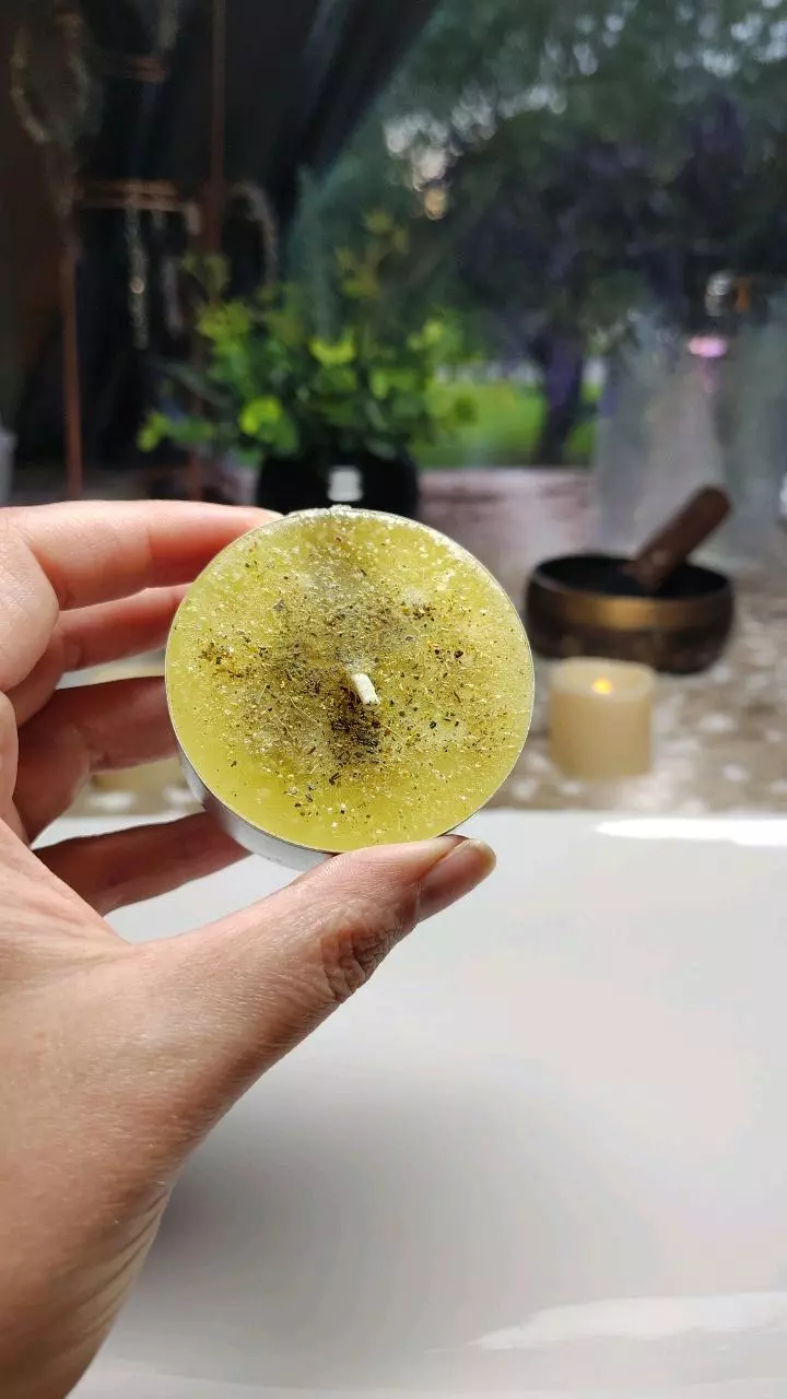 plant/Aura + Space Cleansing Candle – Purify, Protect, Realign-0