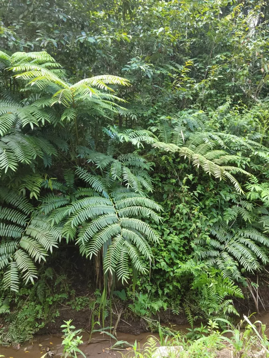 free_shipping/Hold One Week-0