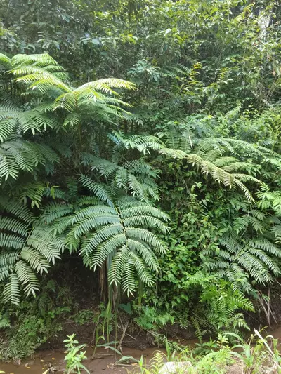 free_shipping/Hold One Week-0-thumbnail