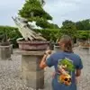 plant/Wigert’s Bonsai Skull Shirt – Charcoal-0
