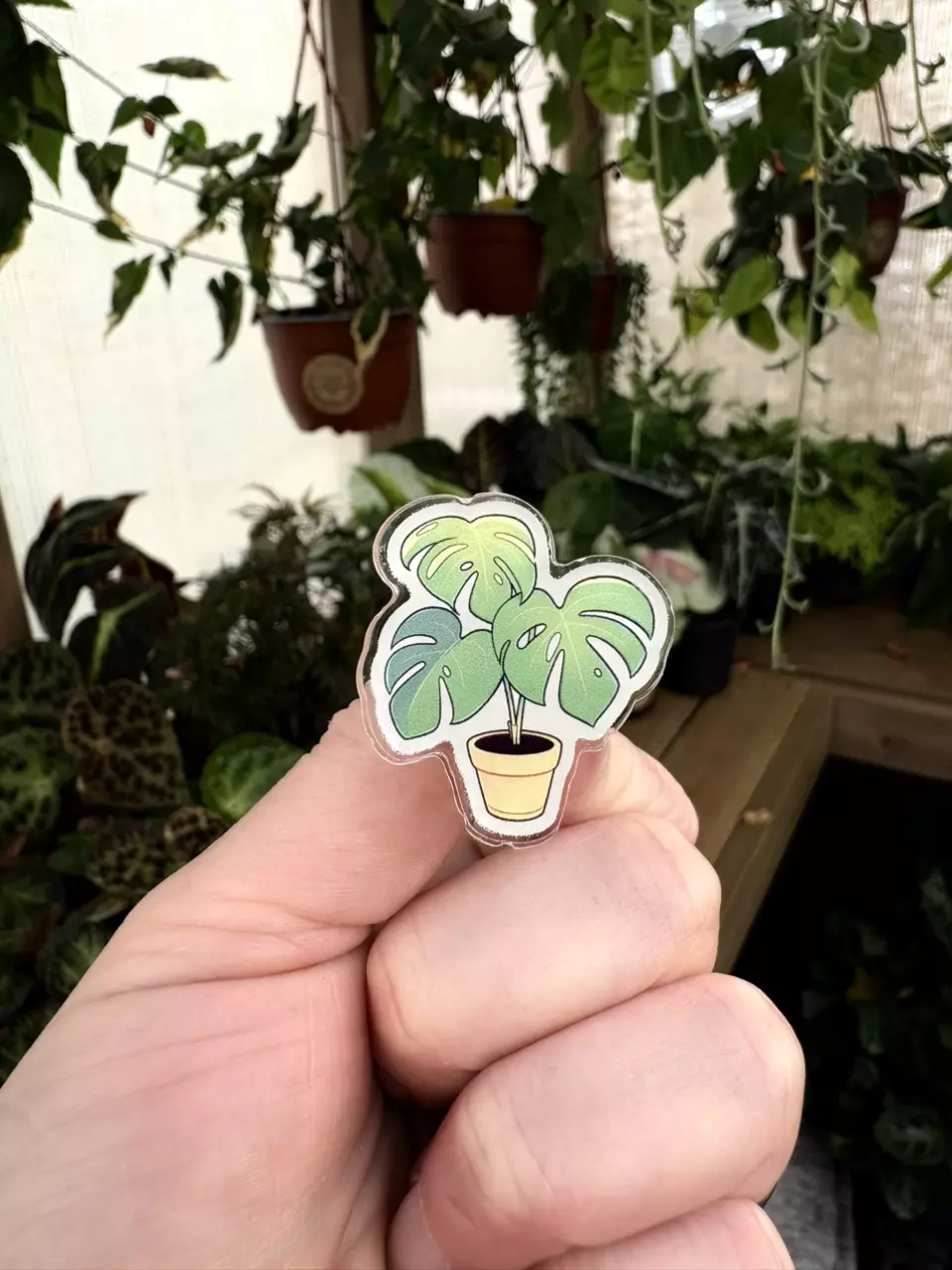 plant/Monstera Acrylic Pin-0