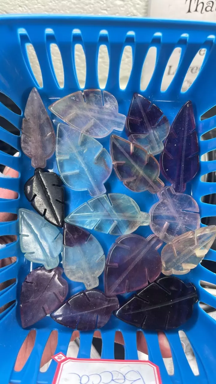 plant/Fluorite Leaf-0