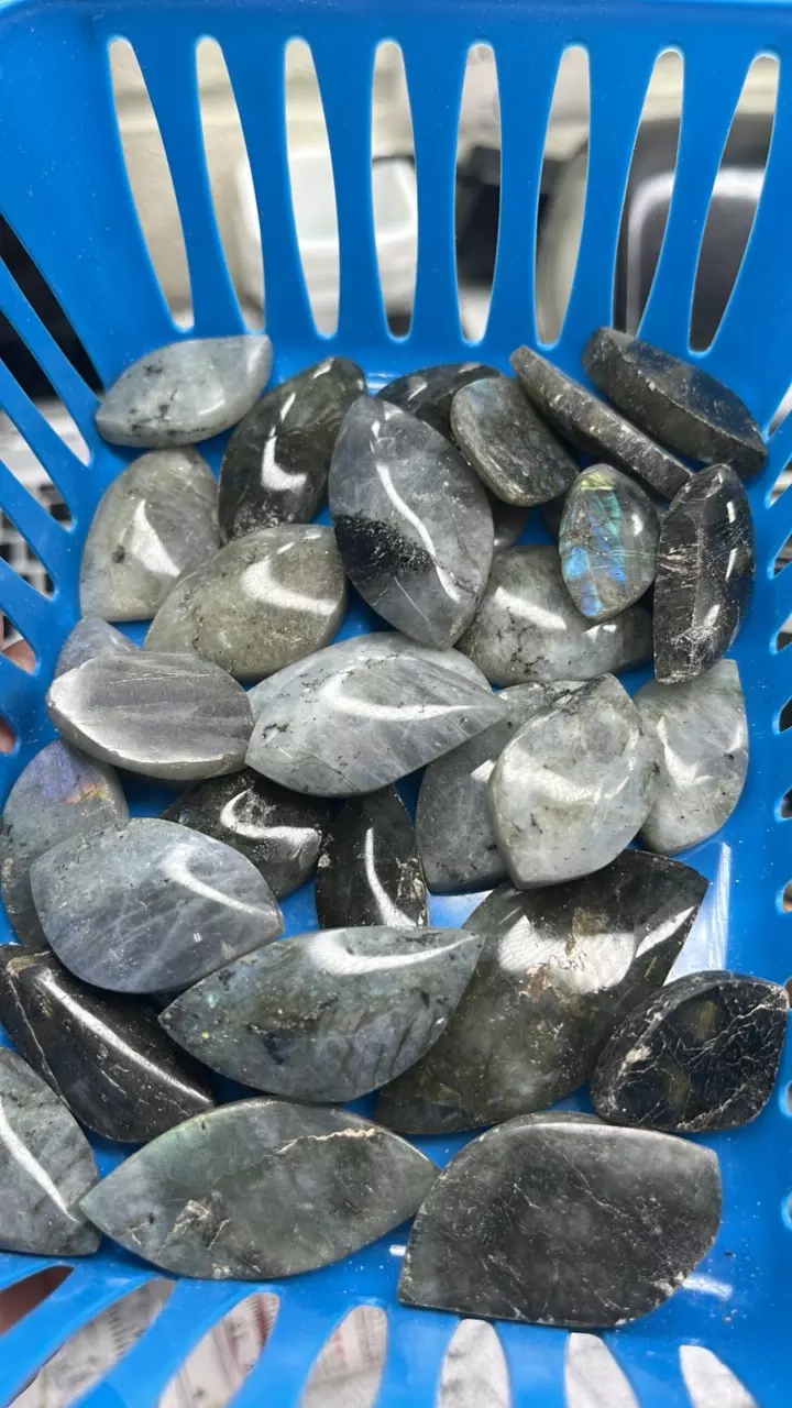 plant/Labradorite Cabochons-0