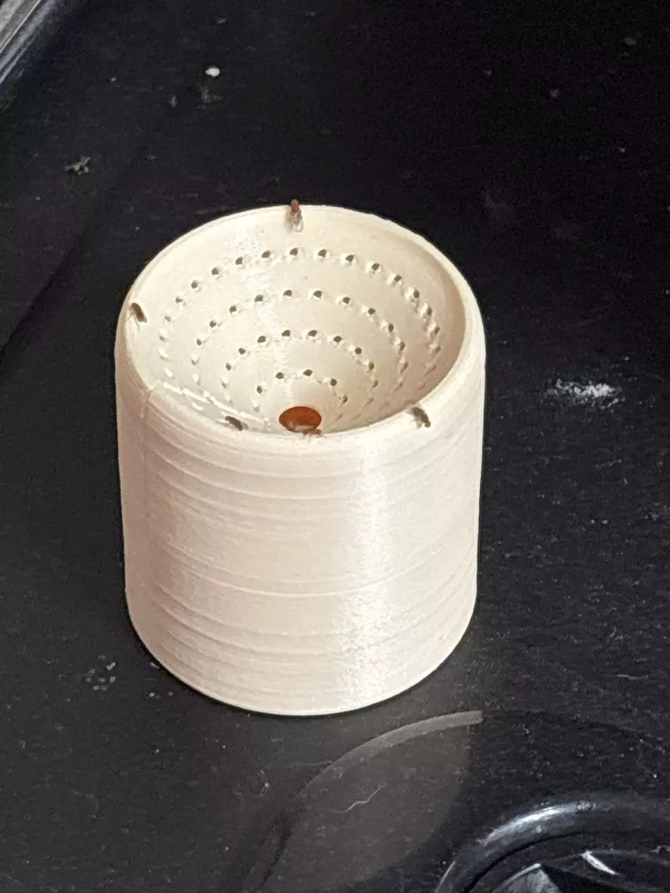 free_shipping/Gnat trap-0