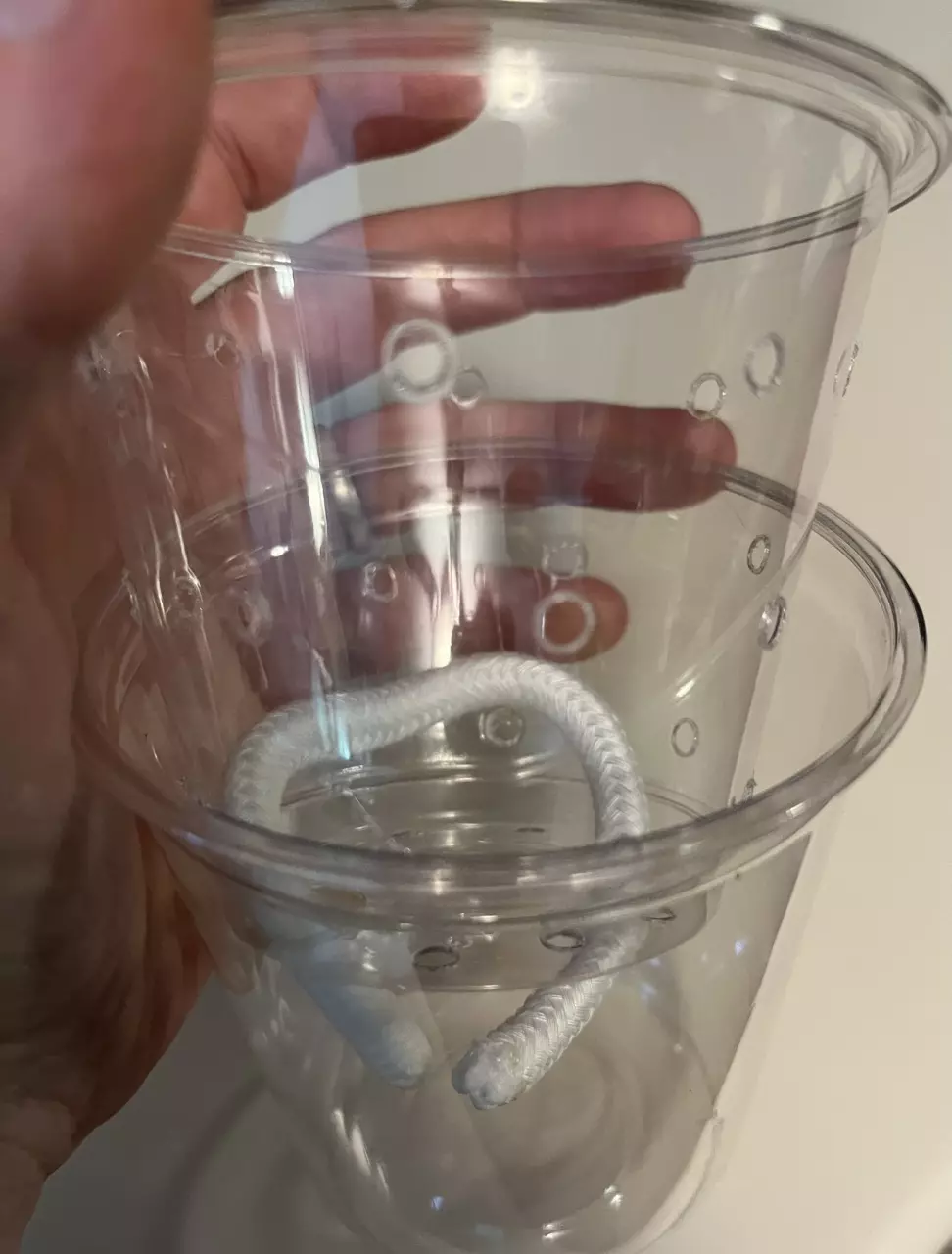 plant/Small Clear Self watering Setups -3 pack small-2