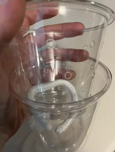 plant/Small Clear Self watering Setups -3 pack small-2-thumbnail