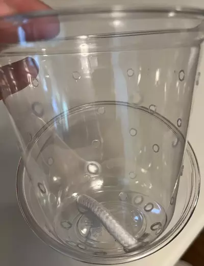 plant/Sm, Med, & Lg  Clear Self Watering Pots - set of 3-4-thumbnail