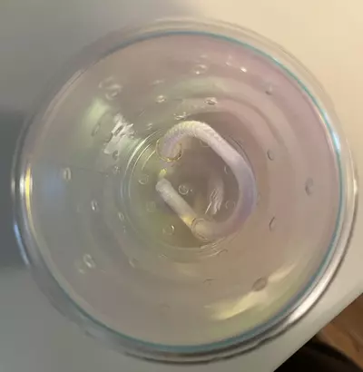 plant/Halo Holographic Matte - 3 small clear self watering containers-1-thumbnail